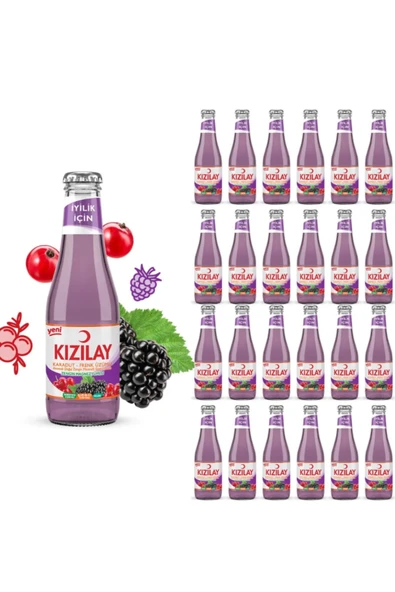 Kızılay Karadut & Frenk Üzümü Aromalı Maden Suyu - toptan fiyat